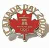 RBC Logo Pin