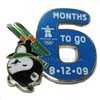 6 Months To Go Pin