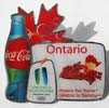 Coca Cola Torch Relay Ontario Pin