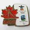 Cross Country Ski Federation Pin