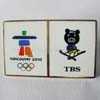 TBS Skiing Media Pin